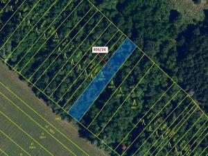 Dražba lesa, Ivančice, 741 m2