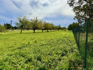 Prodej pozemku pro bydlení, Turovice, 1000 m2