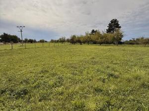 Prodej pozemku pro bydlení, Turovice, 1000 m2