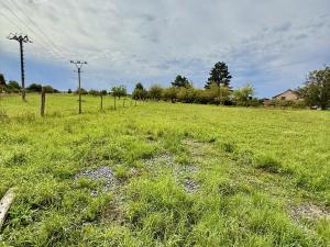 Prodej pozemku pro bydlení, Turovice, 1000 m2