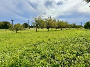 Prodej pozemku pro bydlení, Turovice, 1000 m2