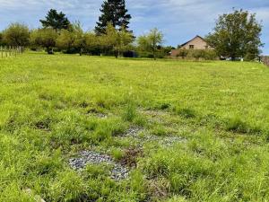 Prodej pozemku pro bydlení, Turovice, 1000 m2