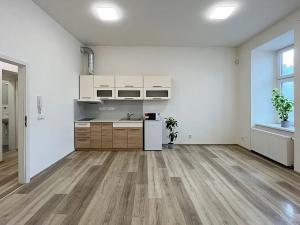 Pronájem bytu 1+kk, Brno, Lidická, 36 m2