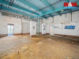 Prodej výrobních prostor, Havlovice, 1236 m2