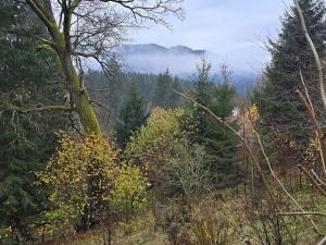 Prodej pozemku pro bydlení, Staré Hamry, 1212 m2