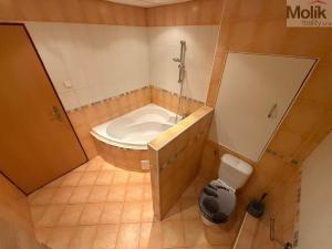 Pronájem bytu 3+1, Most, Lipová, 68 m2