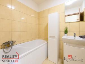 Pronájem bytu 2+kk, Plzeň - Bolevec, U Velkého rybníka, 59 m2