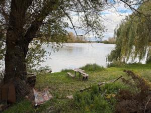 Prodej chaty, Píšťany, 300 m2