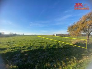 Prodej louky, Nahořany, 1000 m2