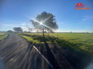 Prodej louky, Nahořany, 1000 m2