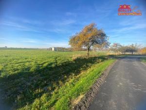 Prodej louky, Nahořany, 1000 m2