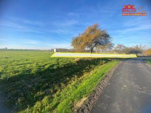 Prodej louky, Nahořany, 1000 m2