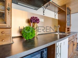 Pronájem bytu 1+kk, Praha - Nusle, Sekaninova, 35 m2