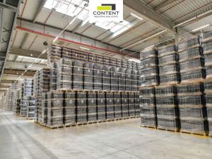 Pronájem výrobních prostor, Aš, Skandinávská, 10000 m2