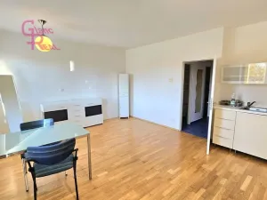 Pronájem bytu 1+kk, Brno - Líšeň, Poslušného, 33 m2