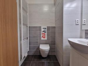 Pronájem bytu 1+kk, Olomouc - Řepčín, Aloise Rašína, 35 m2