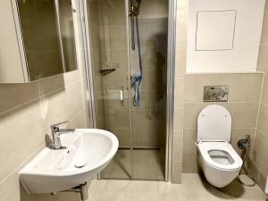 Pronájem bytu 1+kk, Plzeň, Pilařská, 42 m2