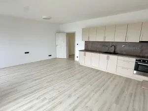 Pronájem bytu 1+kk, Plzeň, Pilařská, 42 m2