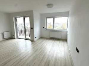 Pronájem bytu 1+kk, Plzeň, Pilařská, 42 m2