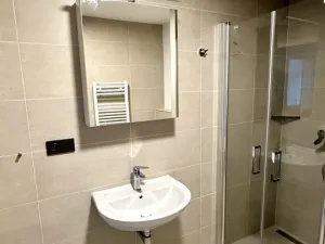 Pronájem bytu 1+kk, Plzeň, Pilařská, 42 m2