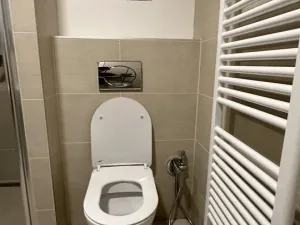 Pronájem bytu 1+kk, Plzeň, Pilařská, 42 m2