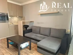 Pronájem bytu 1+kk, Chomutov, Seifertova, 20 m2