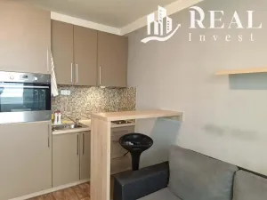 Pronájem bytu 1+kk, Chomutov, Seifertova, 20 m2