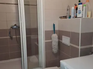 Pronájem bytu 1+kk, Chomutov, Seifertova, 20 m2