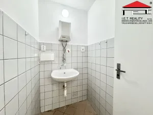 Pronájem obchodního prostoru, Brno, Orlí, 81 m2