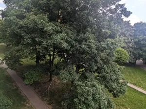 Pronájem bytu 2+1, Bílina, M. Švabinského, 55 m2