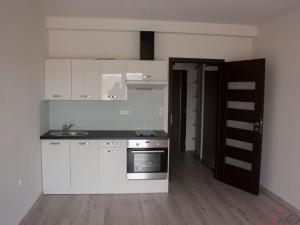 Pronájem bytu 1+kk, Staříč, Fryčovická, 30 m2