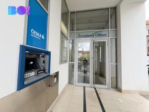 Pronájem kanceláře, Praha, Žerotínova, 30 m2