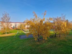 Pronájem bytu 1+1, Bohušovice nad Ohří, Zahradní, 35 m2