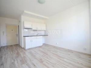 Prodej bytu 1+kk, Chomutov, Seifertova, 20 m2