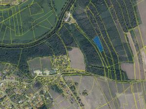 Prodej lesa, Bradlec, 4578 m2