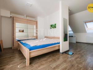 Prodej vícegeneračního domu, Brno, Jilemnického, 200 m2