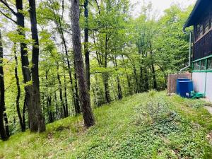 Prodej chaty, Kaliště, 30 m2