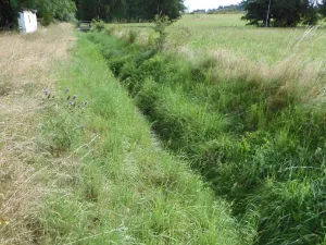 Dražba louky, Krouna, 6211 m2