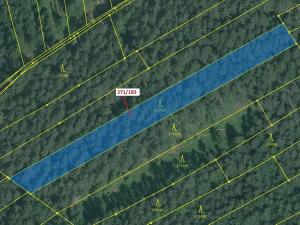 Dražba lesa, Milavče, 2398 m2