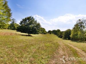 Prodej louky, Samopše, 14836 m2