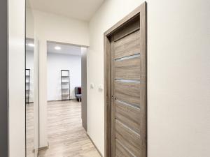 Pronájem bytu 2+kk, Liberec - Liberec XII-Staré Pavlovice, Letná, 41 m2