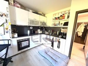 Prodej bytu 1+1, Brno - Kohoutovice, Prokofjevova, 36 m2