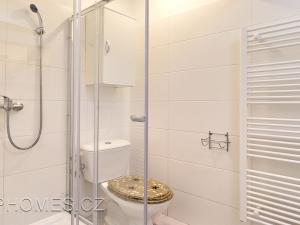 Pronájem bytu 2+1, Praha - Nové Město, Na Moráni, 62 m2