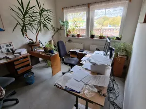 Prodej výrobních prostor, Nový Bor, Lipová, 286 m2