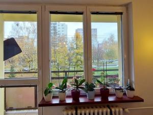 Pronájem bytu 3+1, Ostrava, Výškovická, 76 m2