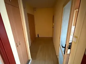 Prodej bytu 1+1, Plzeň, Železničářská, 41 m2