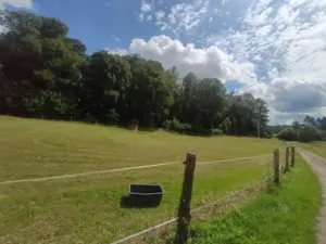 Dražba pozemku, Jihlava, 381291 m2