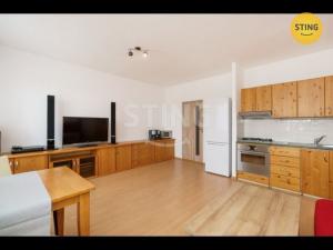 Pronájem bytu 1+kk, Ostrava, Horní, 37 m2