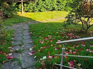 Pronájem rodinného domu, Praha - Dejvice, Nad lesíkem, 160 m2