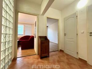 Prodej bytu 2+kk, Brno, Moldavská, 45 m2